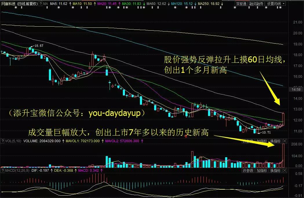 三江购物停牌最新消息，市场波动下的深度剖析与未来展望