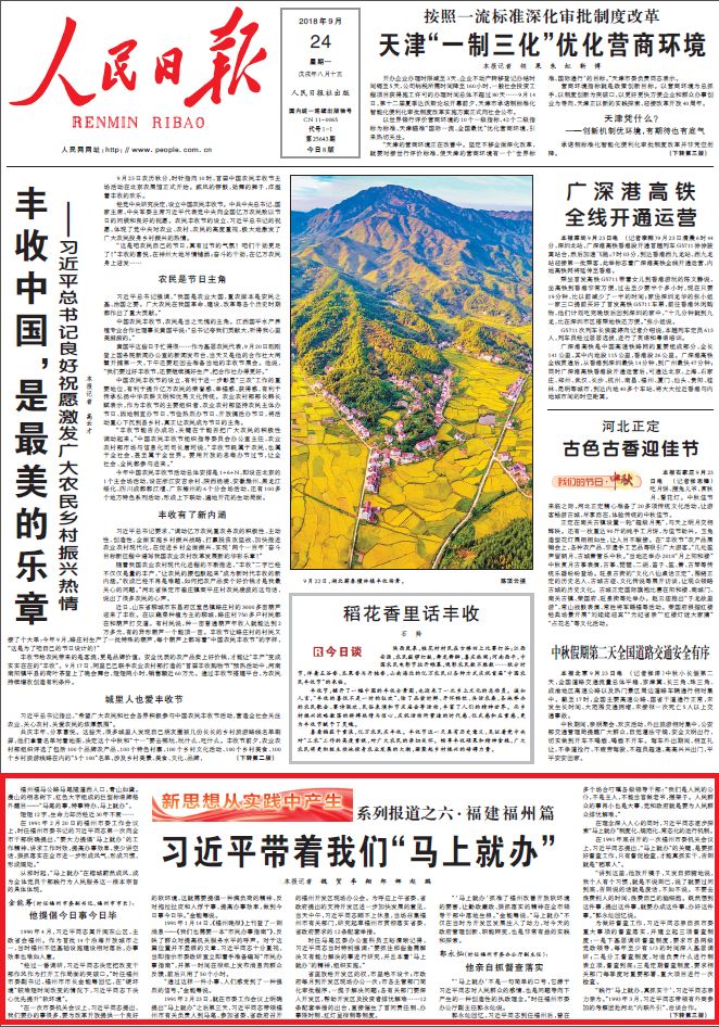 一肖一码一中一特，精选版精选解析解释落实