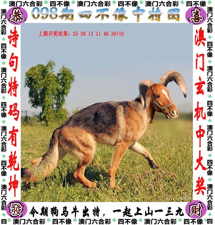 澳门今晚开特马四不像图，精选版词语释义解释落实