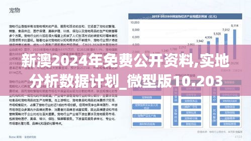 2025年新澳正版资料，精选版精选解析解释落实