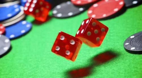 2024天天开彩资料大全免费，精选版全面贯彻解释落实