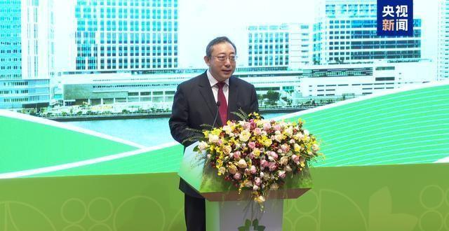 2024新澳门正版免费资本，精选版精选解析解释落实