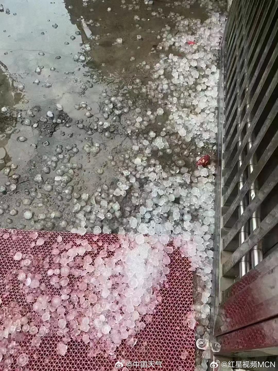广东多地冰雹密集砸地