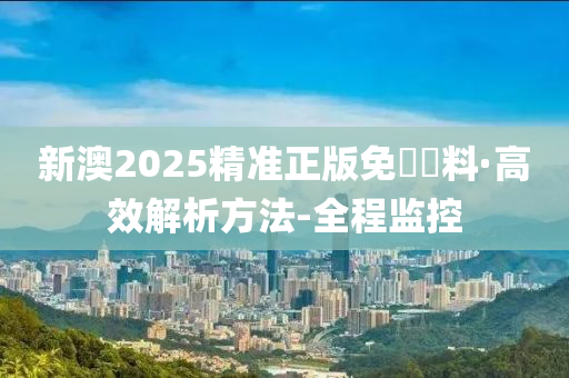 新澳2025精准正版免費資料,详细解答、解释与落实