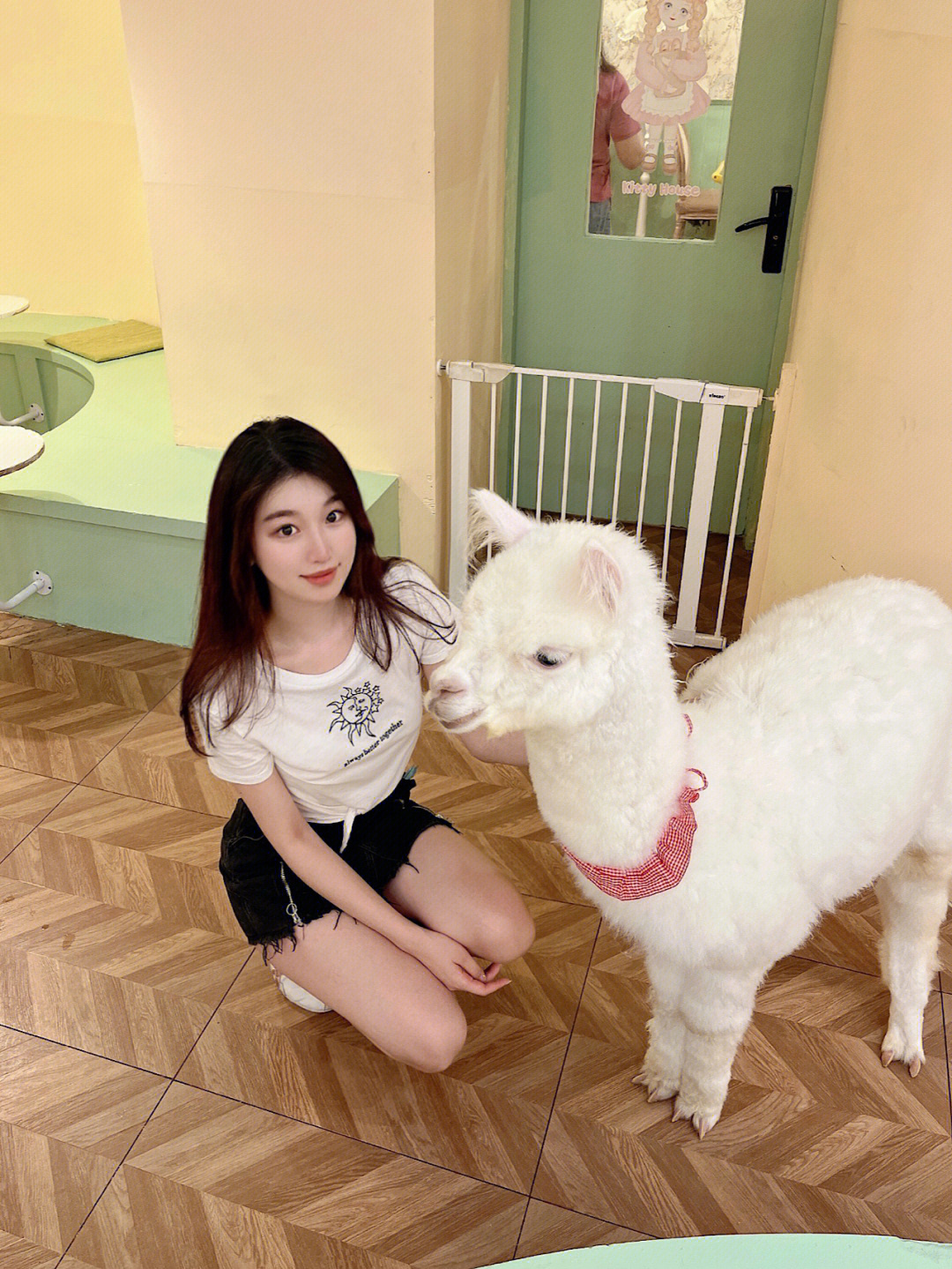 儿子女友是会说话的羊驼还有救吗