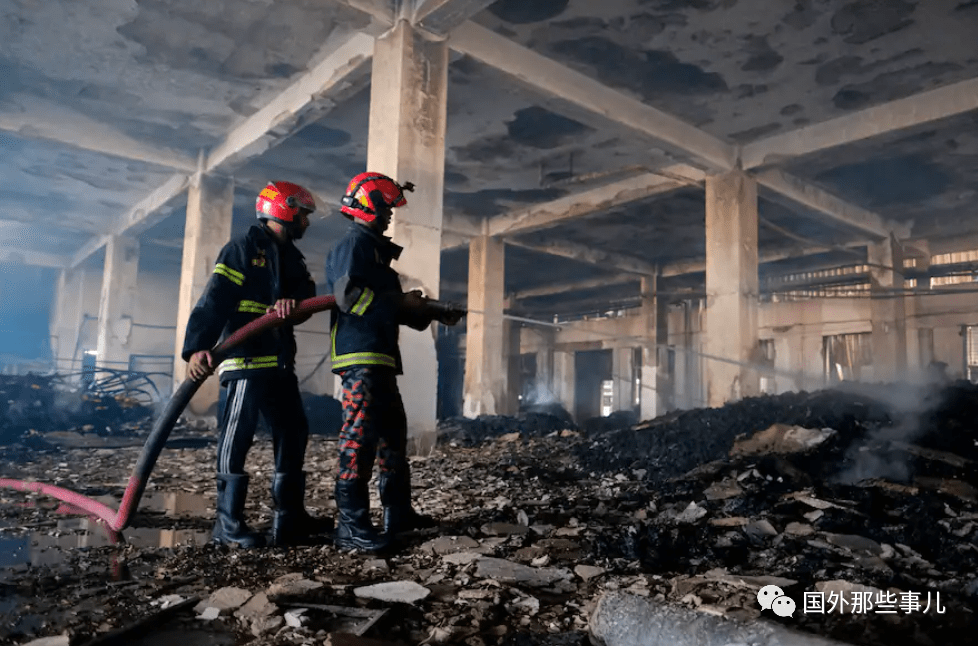 细菌死去会将自己尸体献给亲人