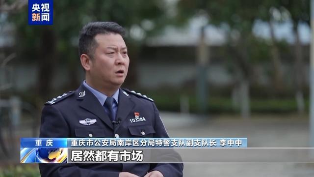 “胖猫”事件办案民警遭网暴