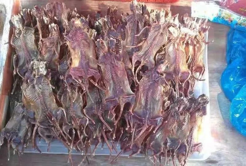 广东多家店铺售卖鼠肉干150元一斤