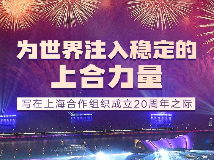 开放政策为全球经济注入稳定力量