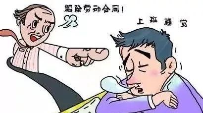男子发明懒人喂鸡法十天喂一次
