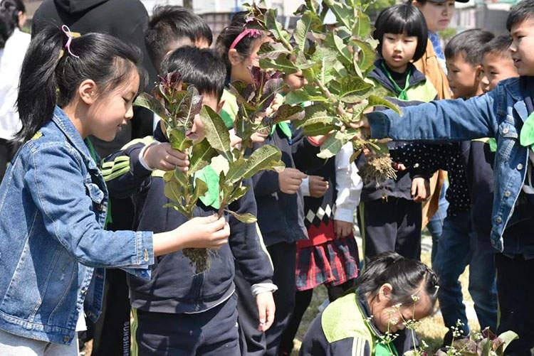 田姥姥看望离世老伴在墓前痛哭