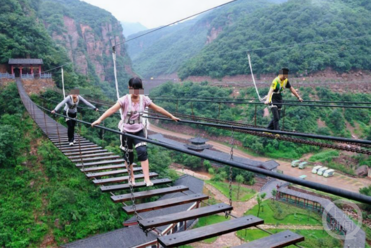 青岛文旅局回应孤独的树成网红景点