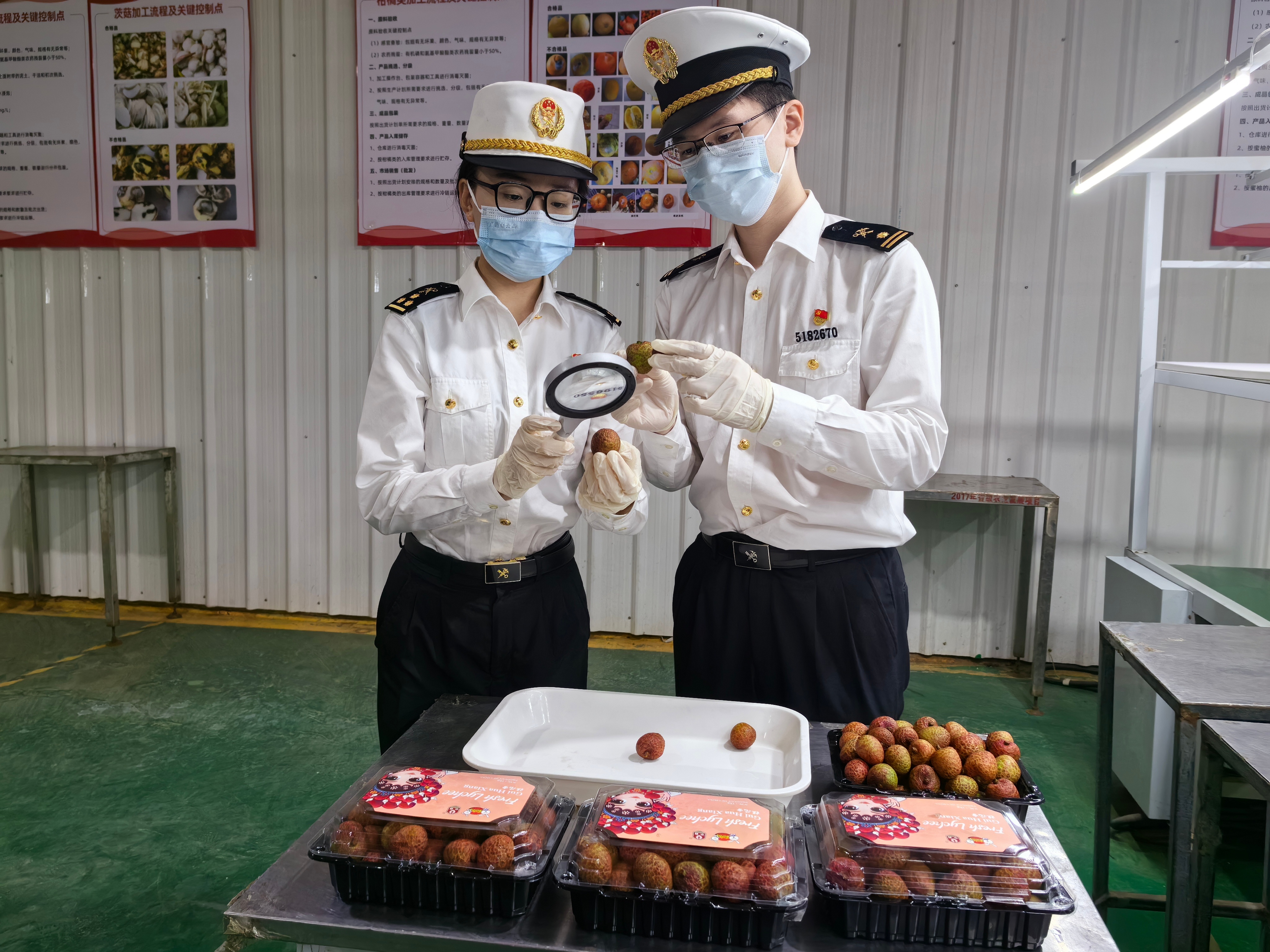 广州海关查获60万枚“爆炸式铆钉”