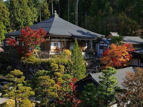 投资千万买日本寺庙的中国人后悔了