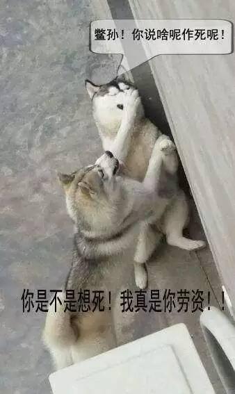 饲养员刚夸完熊听话就遭打脸