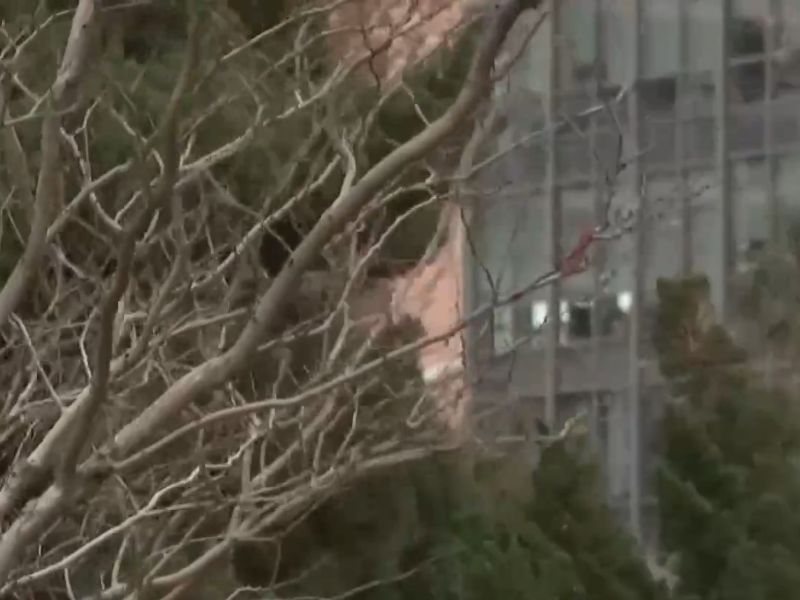 这次“历史罕见”大风有多极端
