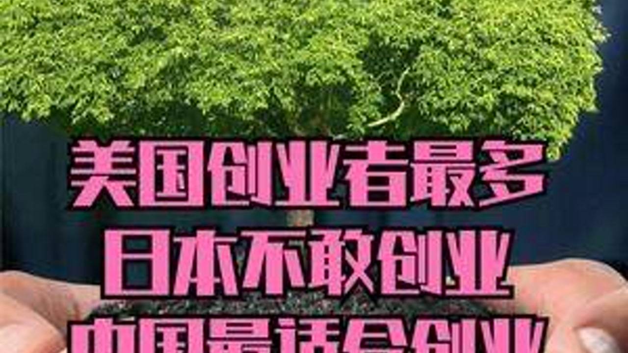 美创业者：中国能给的 美国给不了