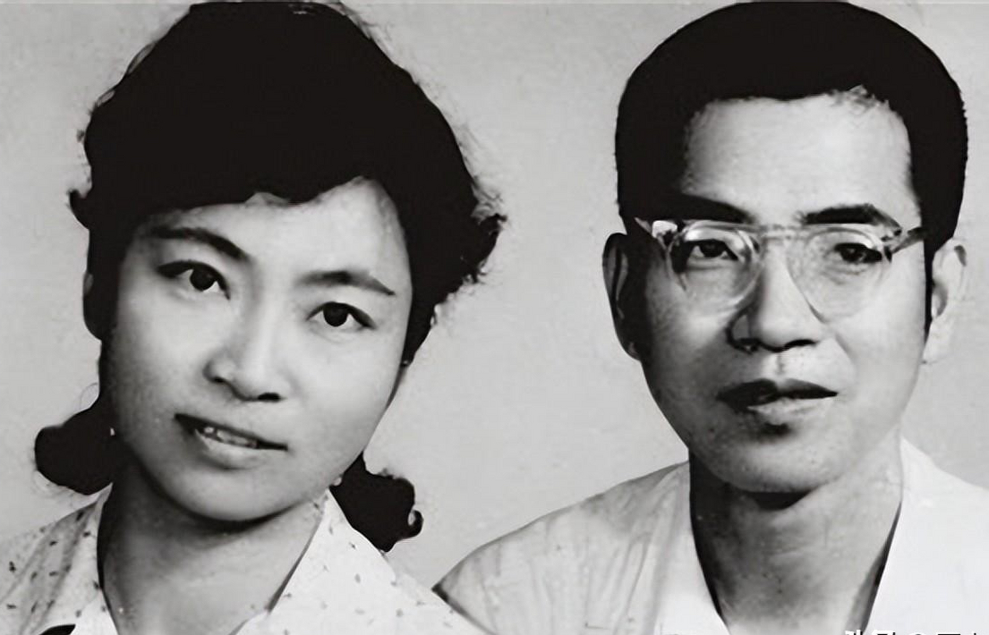 中国明星数学家夫妇回国