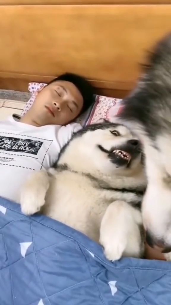 嫉妒使孔雀面目全非