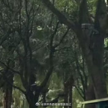 央视曝光“人人租”