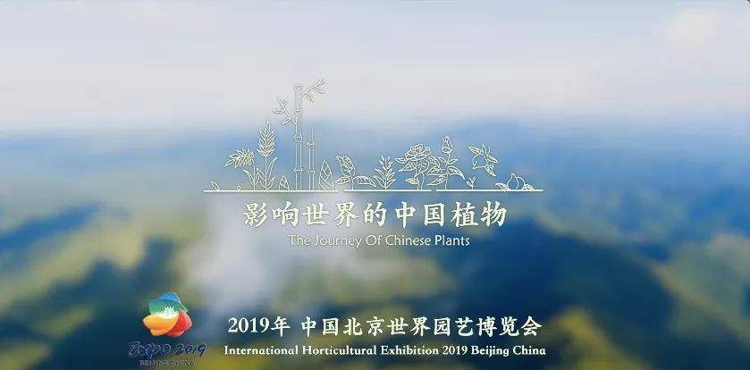 《无忧渡》半夏在宣夜心中无可替代