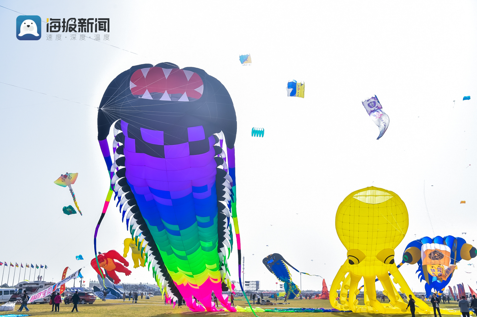 潍坊国际风筝会来了