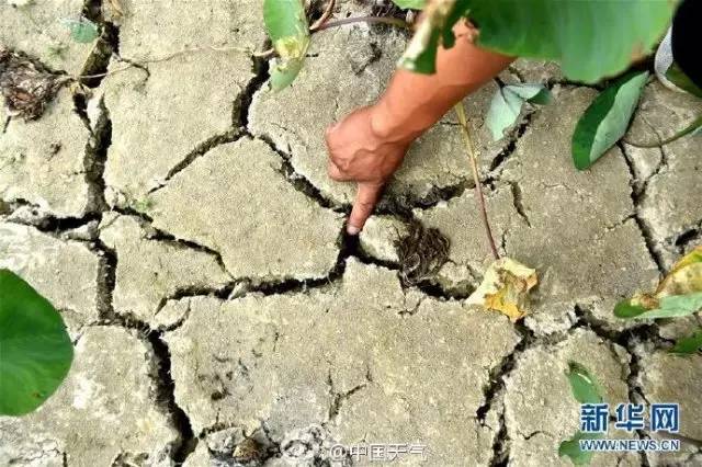 广西大部气象干旱已达特旱