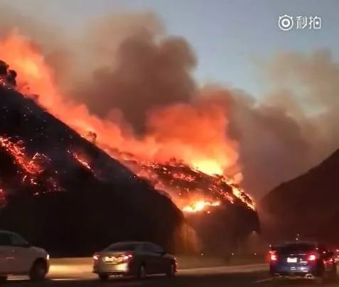 美国新泽西州遭近20年最严重山火