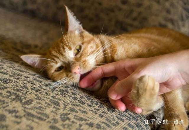 新闻 第20页