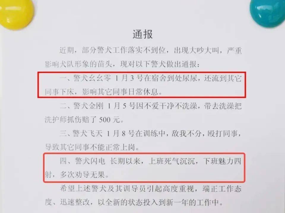 上班时间抢小朋友烤肠 警犬被通报