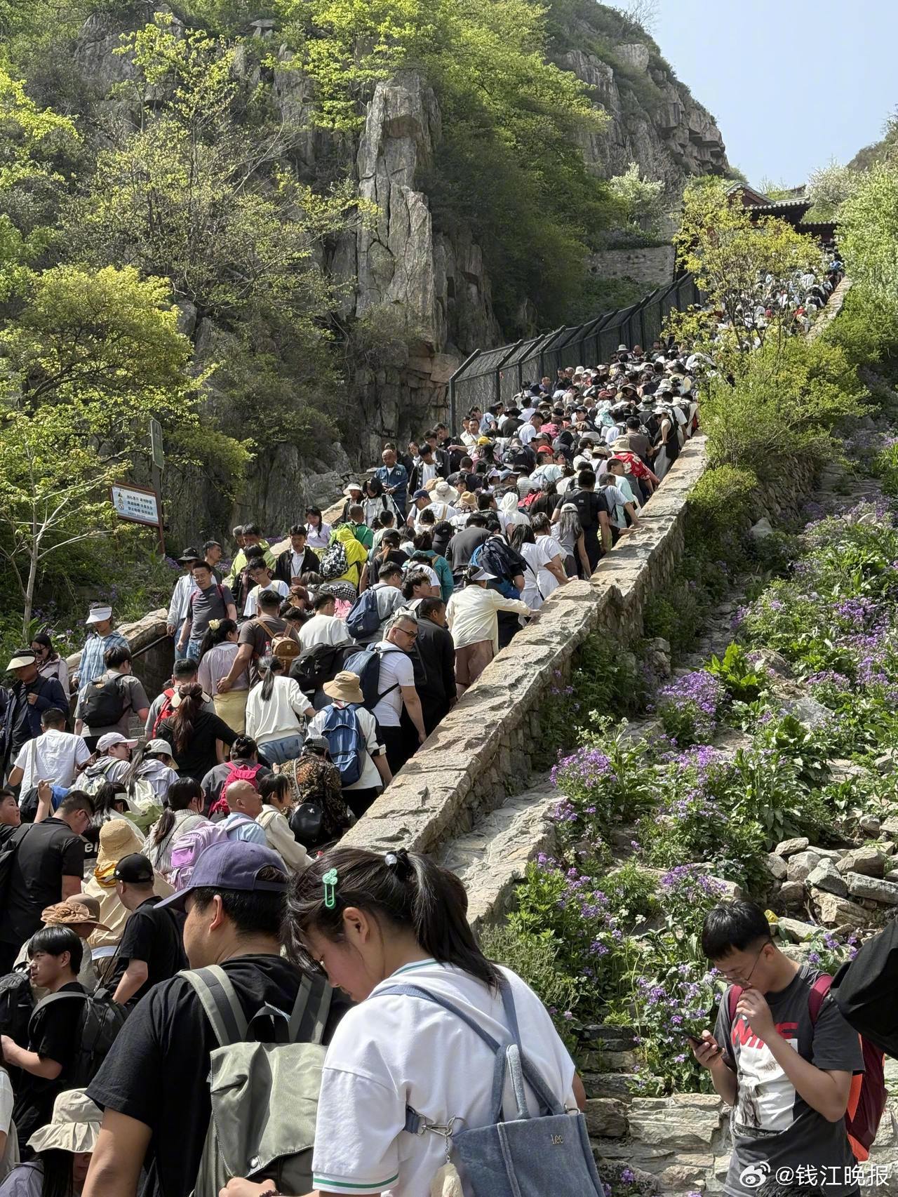 多位泰山陪爬员称五一接单少于平时