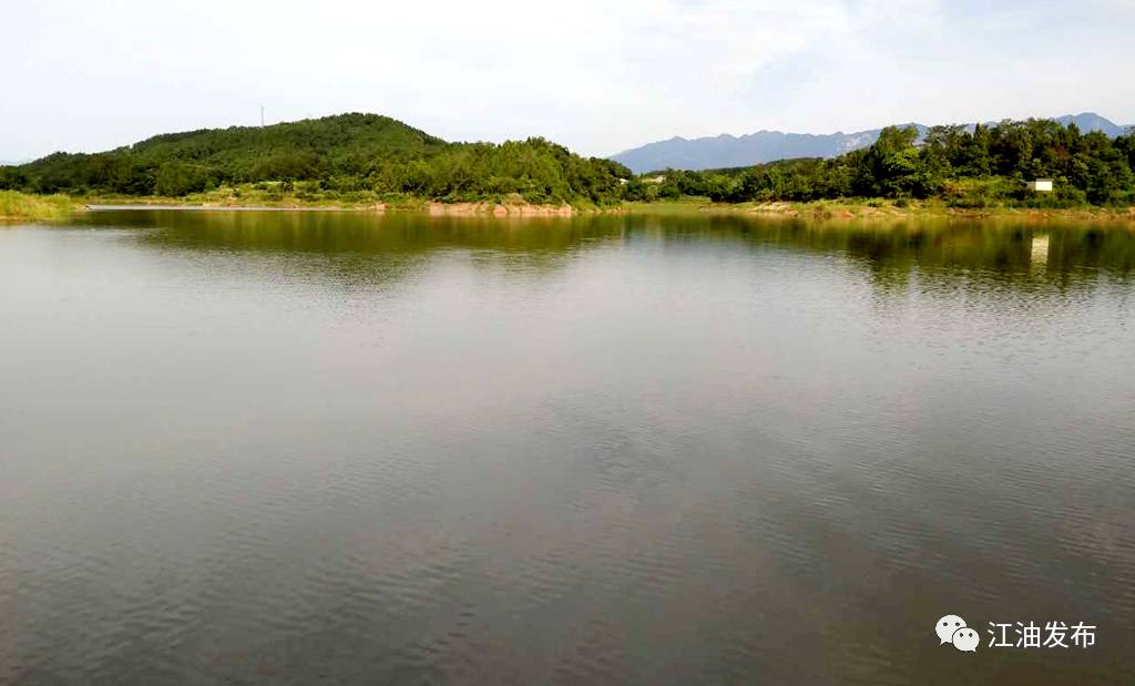 公司成立仅6天就拍得水库经营权