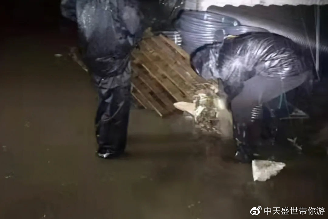 武汉一汽车暴雨中“吃井盖”