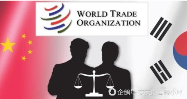 中国这些举措在世贸组织获赞